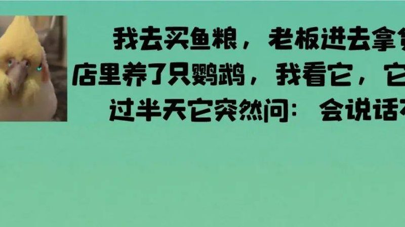 食品批发厂家直销一件代发：揭秘行业真相与选择要点